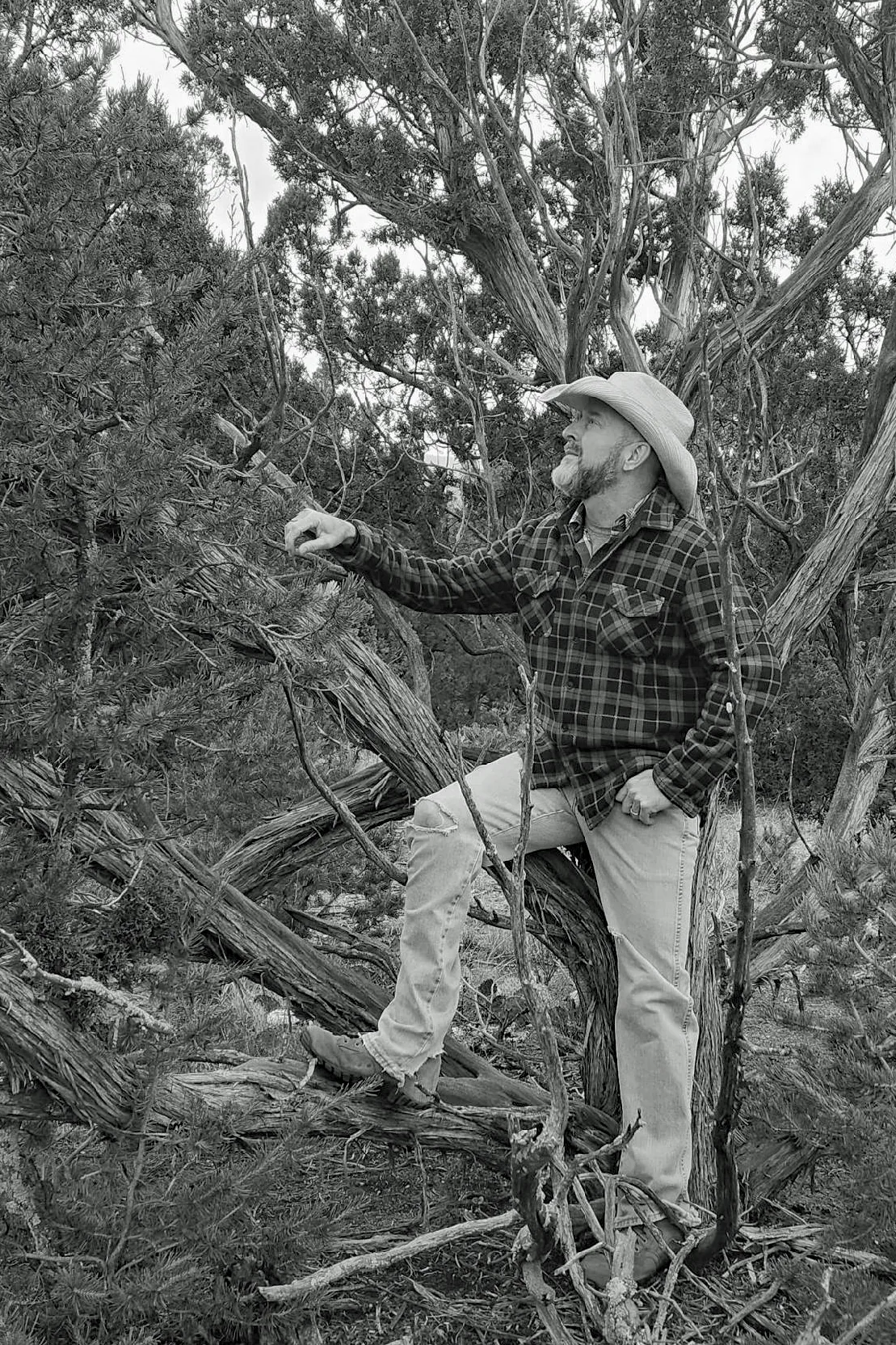 Black and white portrait of the author reaching into a stand of weathered trees