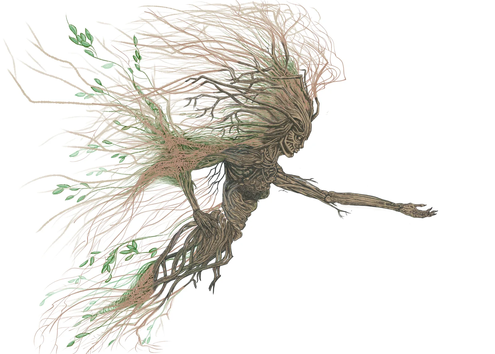 Illustration from the Blighted Earth